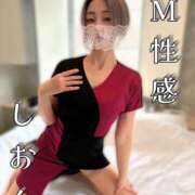 ヒメ日記 2026/02/24 19:20 投稿 しおん Salon du Mｰえっちなお姉さんのM性感デリバリーｰ神戸店