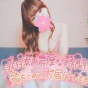 ヒメ日記 2026/02/14 10:40 投稿 りおな Salon du Mｰえっちなお姉さんのM性感デリバリーｰ神戸店