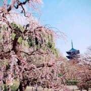 ヒメ日記 2026/03/09 09:20 投稿 りおな Salon du Mｰえっちなお姉さんのM性感デリバリーｰ神戸店