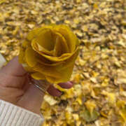 あのん 駆け抜けて性春 ハピネス東京 吉原店