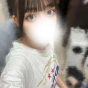 ヒメ日記 2025/11/18 16:53 投稿 うに(新人女性) Replay（リプレイ）