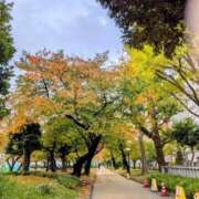 ヒメ日記 2025/11/15 08:05 投稿 みずほ(奥様) 姫マーケット