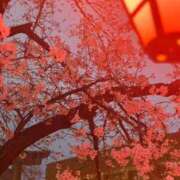 ヒメ日記 2026/03/30 21:19 投稿 いつき 完熟ばなな 谷九店