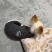 ヒメ日記 2025/11/02 15:24 投稿 てんか 金瓶梅(きんぺいぱい)(雄琴)