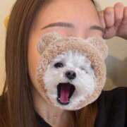 ヒメ日記 2025/11/28 10:37 投稿 てんか 金瓶梅(きんぺいぱい)(雄琴)