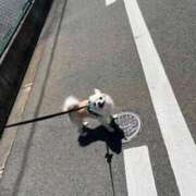 ヒメ日記 2026/04/12 09:44 投稿 てんか 金瓶梅(きんぺいぱい)(雄琴)