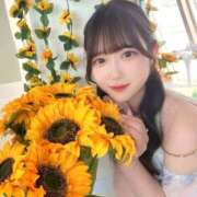 ななせ 🕊️夏日に咲く向日葵🫧 ジャパンクラブ富士