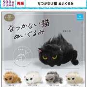 ヒメ日記 2025/11/06 21:46 投稿 伊織 昼顔妻 五反田店