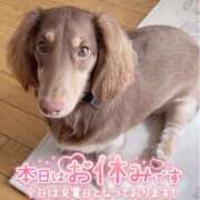 ヒメ日記 2025/11/05 12:13 投稿 れお 熟女の風俗最終章 高崎店