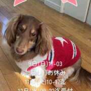 ヒメ日記 2025/11/08 10:58 投稿 れお 熟女の風俗最終章 高崎店