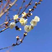 ヒメ日記 2026/02/07 15:56 投稿 有栖川 熟女の風俗最終章 新横浜店