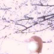 ヒメ日記 2026/05/08 20:16 投稿 有栖川 熟女の風俗最終章 新横浜店