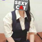 ヒメ日記 2025/11/10 07:30 投稿 浜崎しおり セクシーキャット 神田店