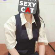 ヒメ日記 2026/02/12 07:31 投稿 浜崎しおり セクシーキャット 神田店