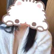 ヒメ日記 2025/11/04 10:06 投稿 ここあ ハンドメイドコレクション太田