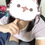 ヒメ日記 2025/11/04 22:05 投稿 ここあ ハンドメイドコレクション太田