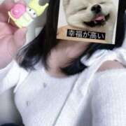 ヒメ日記 2025/11/08 16:06 投稿 ここあ ハンドメイドコレクション太田