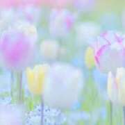 ここあ ひなまつり🎎🌸 ハンドメイドコレクション太田