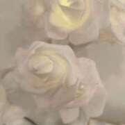 ヒメ日記 2025/11/11 08:45 投稿 ひかる luxury spa 風雅