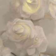 ヒメ日記 2025/11/17 12:29 投稿 ひかる luxury spa 風雅