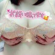 ヒメ日記 2025/12/25 14:52 投稿 しのん☆ 豊橋豊川ちゃんこ