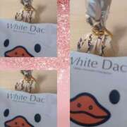 ヒメ日記 2026/02/06 09:26 投稿 小田嶋　さえ エテルナ京都