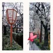 小田嶋　さえ 💓お礼日記💓 エテルナ京都