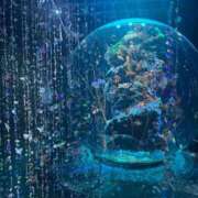 ポルン 水族館🐬 Cawaiiハイ！スクールリターンズ