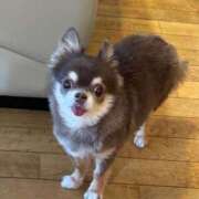 ヒメ日記 2025/12/06 19:01 投稿 ポルン Cawaiiハイ！スクールリターンズ