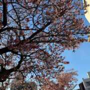 ヒメ日記 2026/02/03 16:30 投稿 ポルン Cawaiiハイ！スクールリターンズ