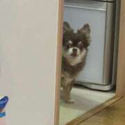 ヒメ日記 2026/02/26 15:02 投稿 ポルン Cawaiiハイ！スクールリターンズ