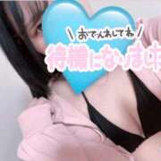 ヒメ日記 2026/05/21 22:22 投稿 かりん 船橋ときめき女学園