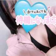 ヒメ日記 2026/08/09 20:14 投稿 かりん 船橋ときめき女学園