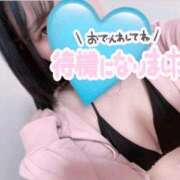 ヒメ日記 2026/08/17 20:56 投稿 かりん 船橋ときめき女学園