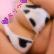 ヒメ日記 2025/11/27 06:02 投稿 ありか 小田原人妻城