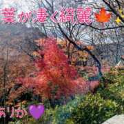 ヒメ日記 2025/11/27 17:18 投稿 ありか 小田原人妻城