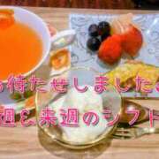 ヒメ日記 2025/12/02 11:19 投稿 ありか 小田原人妻城