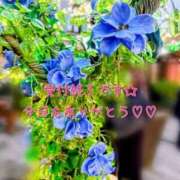 ヒメ日記 2025/12/16 00:20 投稿 ありか 小田原人妻城