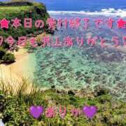 ヒメ日記 2025/12/19 00:19 投稿 ありか 小田原人妻城