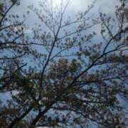 ありか 出動増えましたーのお知らせ📢✨ 小田原人妻城