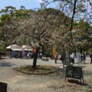 ヒメ日記 2026/04/22 05:38 投稿 ありか 小田原人妻城