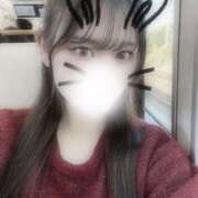 ぽるん あいたいな🐶 プロフィール 京都店