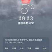 はるな :( ´◦ω◦｀): 激安ドットコム