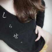 ヒメ日記 2025/11/03 08:16 投稿 白瀬(しらせ) 人妻出逢い会 百合の園 品川店