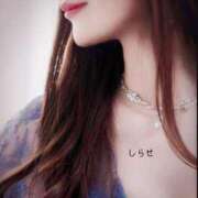 ヒメ日記 2025/11/03 13:26 投稿 白瀬(しらせ) 人妻出逢い会 百合の園 品川店