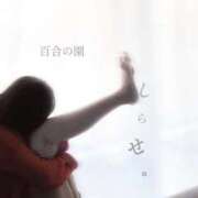 ヒメ日記 2025/11/04 08:56 投稿 白瀬(しらせ) 人妻出逢い会 百合の園 品川店