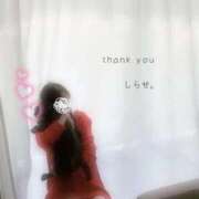 ヒメ日記 2025/11/04 18:06 投稿 白瀬(しらせ) 人妻出逢い会 百合の園 品川店