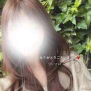 ヒメ日記 2025/11/06 15:56 投稿 白瀬(しらせ) 人妻出逢い会 百合の園 品川店