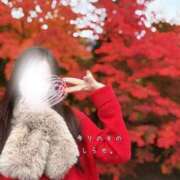 ヒメ日記 2025/11/18 11:56 投稿 白瀬(しらせ) 人妻出逢い会 百合の園 品川店