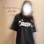 ヒメ日記 2026/01/21 09:36 投稿 白瀬(しらせ) 人妻出逢い会 百合の園 品川店